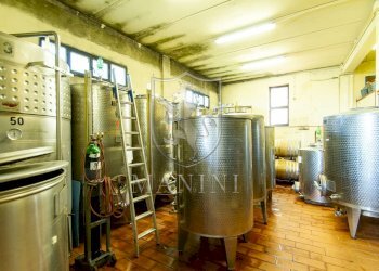 Foto 24 - Rustico via dell'ospedale
 
1, Poggibonsi - foto 24