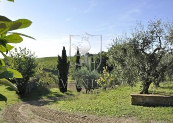 Foto 31 - Rustico via dell'ospedale
 
1, Poggibonsi - foto 31