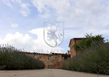 Foto 8 - Rustico Via delle Selce
 
44, Torrita di Siena - foto 8