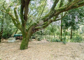 Foto 14 - Rustic via di lucignano, Foiano della Chiana - photo 14