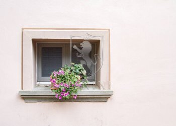 Foto 22 - Rustic via di lucignano, Foiano della Chiana - photo 22