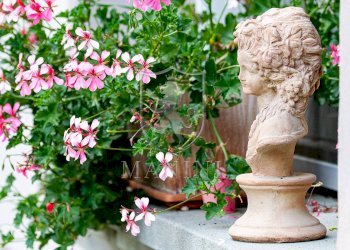 Foto 60 - Rustic via di lucignano, Foiano della Chiana - photo 60