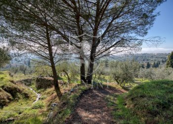 \nFoto 33\n - Rustico Parterre
 
3, Cortona - foto 33