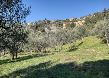 \nFoto 35\n - Rustico Parterre
 
3, Cortona - foto 35