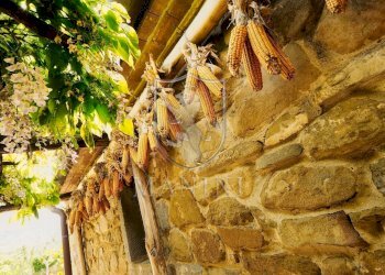 \nFoto 33\n - Rustico cortona
 
4, Cortona - foto 33