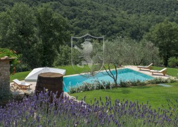 Foto 55 - Rustic strada di molilungo
 
30, Radda in Chianti - photo 55