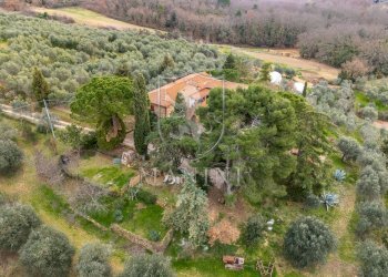 Foto 36 - Rustico Case sparse
 
26, Trequanda - foto 36