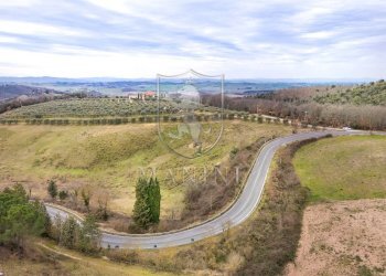 Foto 39 - Rustico Case sparse
 
26, Trequanda - foto 39