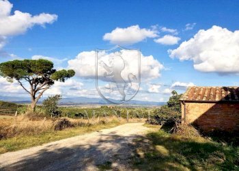 \nFoto 13\n - Rustico ciliano
 
10, Torrita di Siena - foto 13