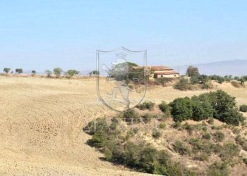 \nFoto 14\n - Rustico ciliano
 
10, Torrita di Siena - foto 14