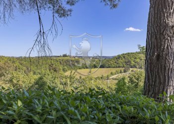 \nFoto 19\n - Rustico piazza matteotti
 
3, Castellina in Chianti - foto 19