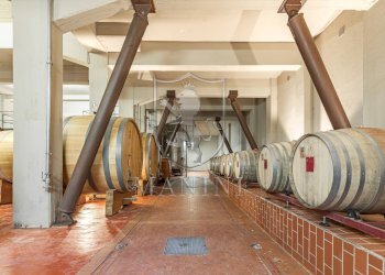 \nFoto 19\n - Castello Castelnuovo Berardenga, Radda in Chianti - foto 19