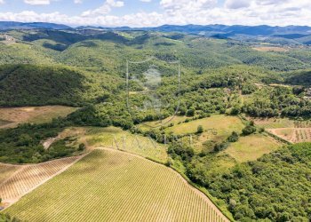 \nFoto 39\n - Castello Castelnuovo Berardenga, Radda in Chianti - foto 39