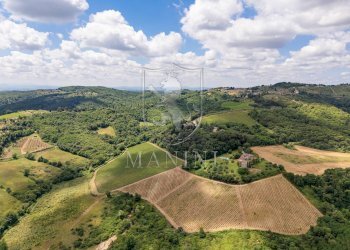 \nFoto 42\n - Castello Castelnuovo Berardenga, Radda in Chianti - foto 42