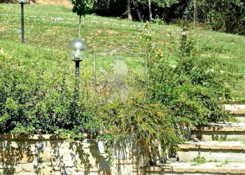 \nFoto 30\n - Rustico case sparse
 
3, Lucignano - foto 28