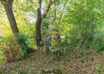 \nFoto 31\n - Rustico via Larga
 
3, Foiano della Chiana - foto 31