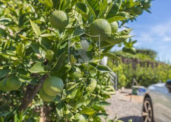 \nFoto 37\n - Villa Via Caravaggio, Monte Argentario - foto 37