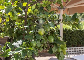 \nFoto 42\n - Villa Via Caravaggio, Monte Argentario - foto 42