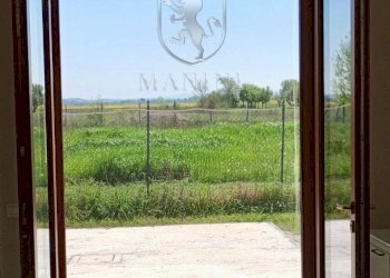 \nFoto 23\n - Rustico Capannone
 
3, Torrita di Siena - foto 23