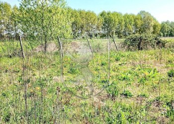 \nFoto 31\n - Rustico Capannone
 
3, Torrita di Siena - foto 31