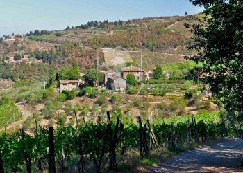 Foto 28 - Rustic via petriolo
 
22, Greve in Chianti - photo 28