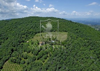 Foto 13 - Rustic strada di camurli
 
12, Gaiole in Chianti - photo 13