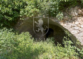 \nFoto 33\n - Villa case sparse
 
3, Monte Argentario - foto 33