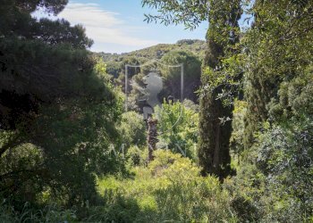 \nFoto 36\n - Villa case sparse
 
3, Monte Argentario - foto 36