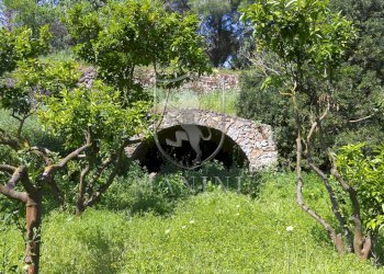 \nFoto 44\n - Villa case sparse
 
3, Monte Argentario - foto 44