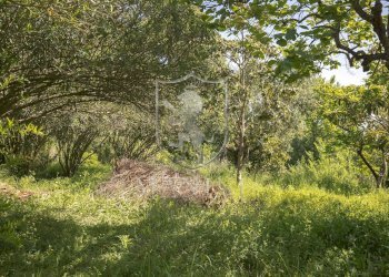 \nFoto 47\n - Villa case sparse
 
3, Monte Argentario - foto 47