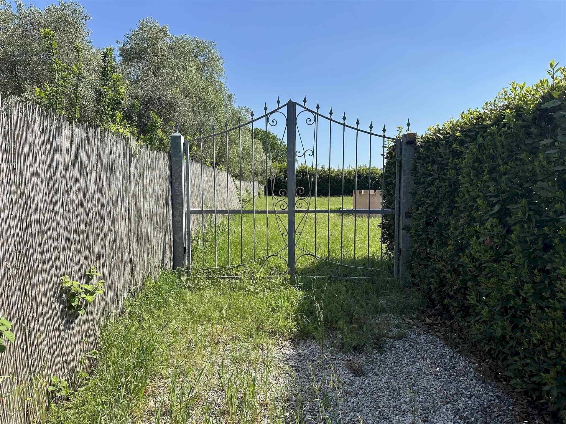 Agricultural land Livorno - photo 3