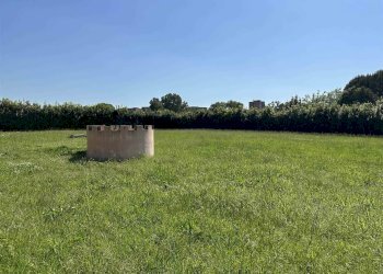 Agricultural land Livorno - photo 7