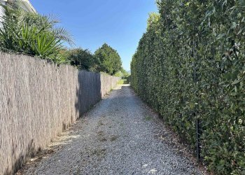 Agricultural land Livorno - photo 2