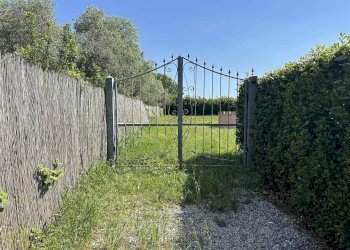 Agricultural land Livorno - photo 3