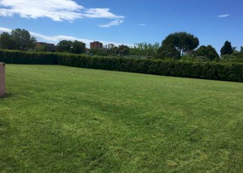 Agricultural land Livorno - photo 4