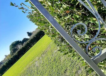 Agricultural land Livorno - photo 5