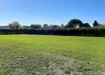 Agricultural land Livorno - photo 6