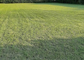 Agricultural land Livorno - photo 8