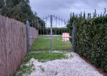 Agricultural land Livorno - photo 9