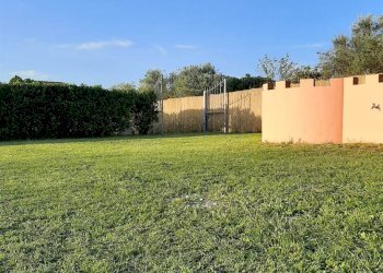 Agricultural land Livorno - photo 11