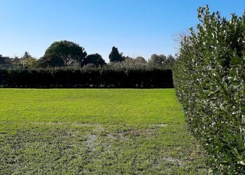 Agricultural land Livorno - photo 13