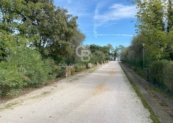 Foto 43 - Appartamento via bariselli
 
5, Lonato del Garda - foto 43