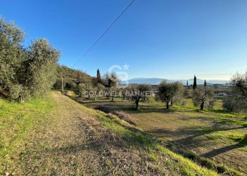 Foto 2 - Terreno agricolo Via dei Ronchi, Polpenazze del Garda - foto 2