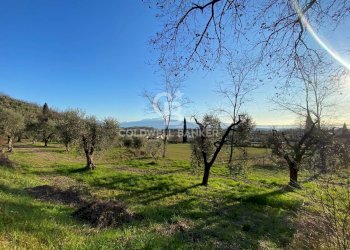 Foto 3 - Terreno agricolo Via dei Ronchi, Polpenazze del Garda - foto 3