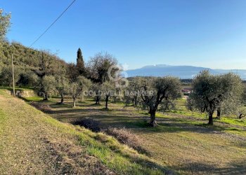 Foto 5 - Terreno agricolo Via dei Ronchi, Polpenazze del Garda - foto 5
