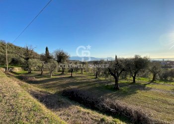 Foto 7 - Terreno agricolo Via dei Ronchi, Polpenazze del Garda - foto 7