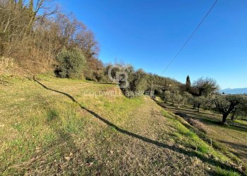 Foto 8 - Terreno agricolo Via dei Ronchi, Polpenazze del Garda - foto 8