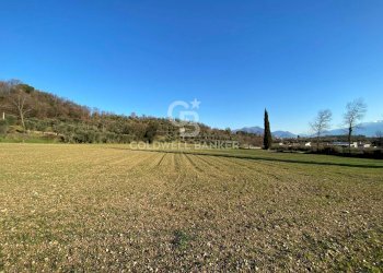 Foto 10 - Terreno agricolo Via dei Ronchi, Polpenazze del Garda - foto 10