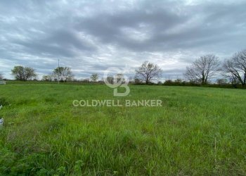 Foto 12 - Terreno edificabile Via Carere, Manerba del Garda - foto 12