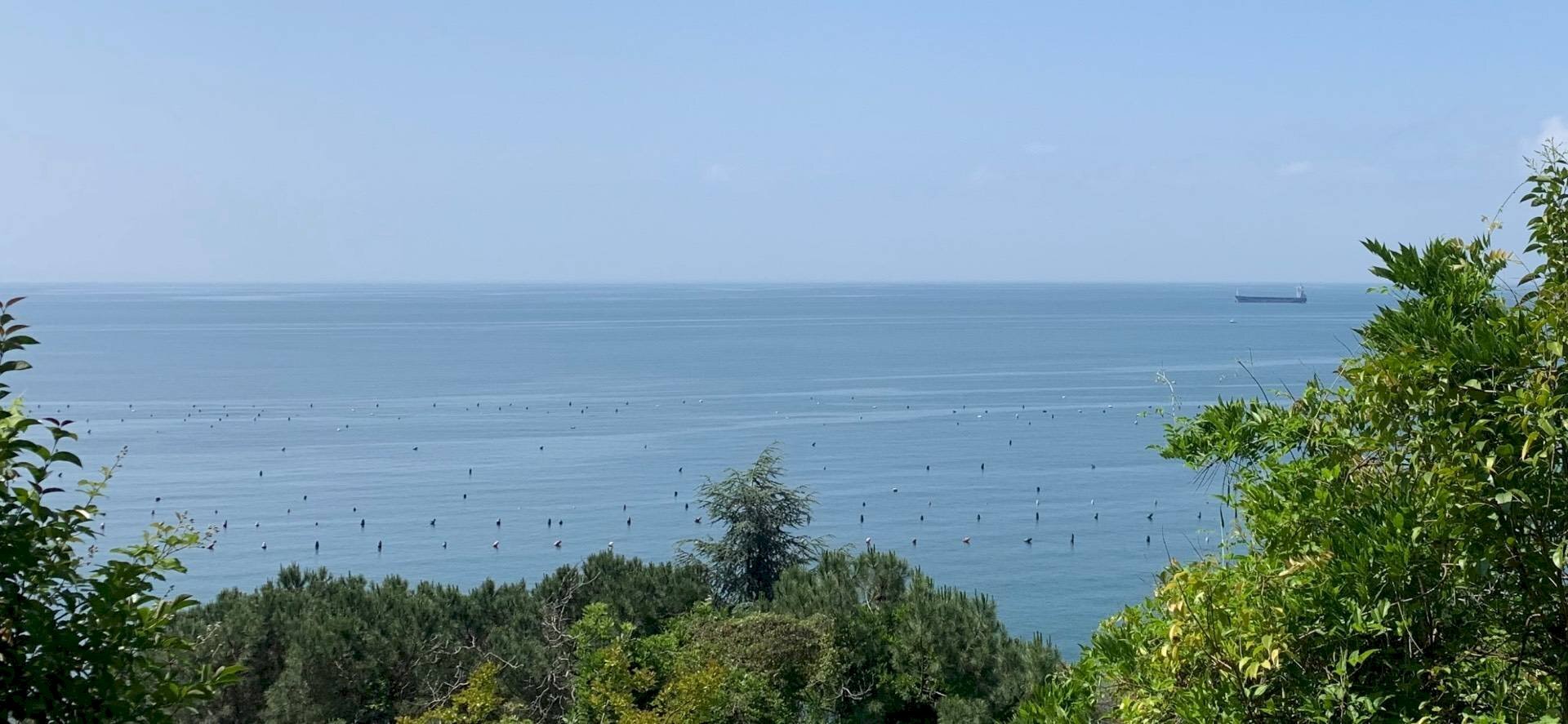 Foto 3 - Villa strada Costiera
234, Trieste - foto 3